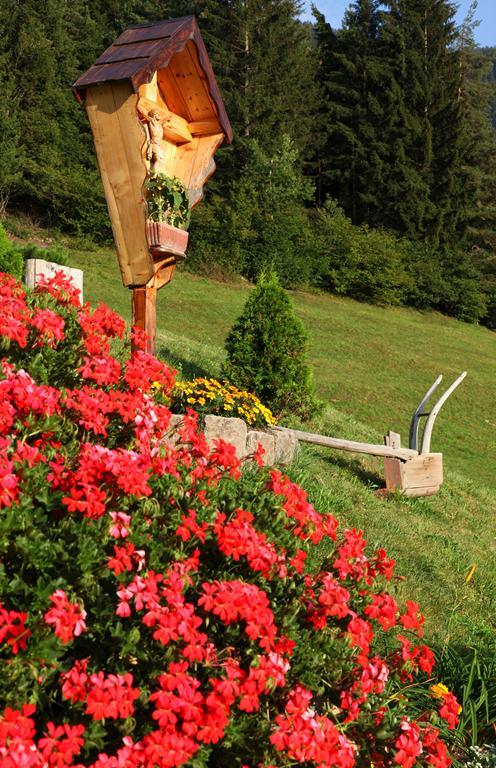Hotel Agritur Fior Di Bosco Valfloriana Exteriér fotografie